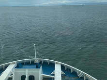 Rotti auf Reisen, Tag 20