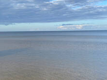 Rotti auf Reisen, Tag 9