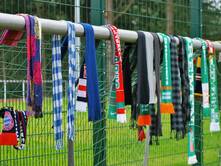 Aus dem Leben eines Fußball-Fans