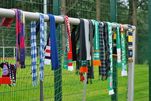 Fußball-Fans, Aus dem Leben eines Fußball-Fans