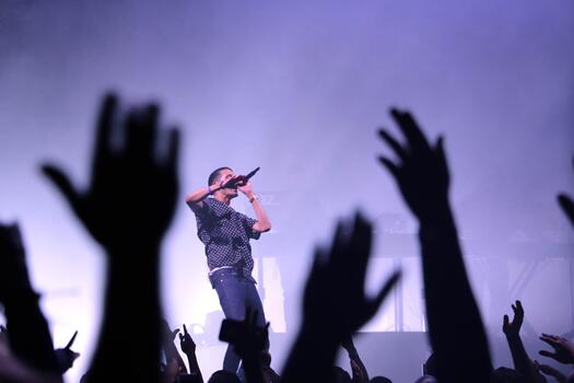 Schlagersänger auf Konzert, Foto: Stocksnap auf Pixabay