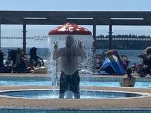 Rotti auf Reisen, Tag 15