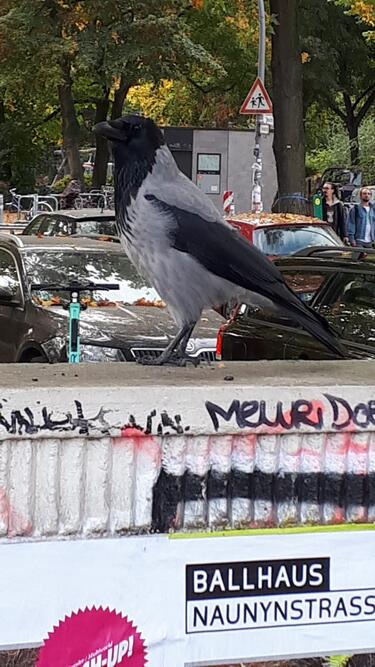Coke am Lohmühlenplatz, Foto Rotti