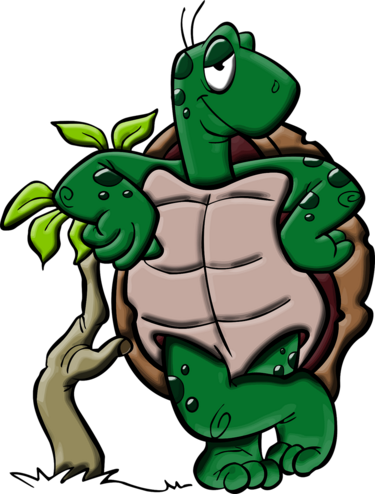 Schildkröte, Bild: OpenClipart Vectors auf Pixabay