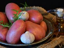 Kartoffeln in der Kita