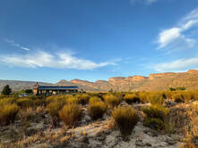 Südafrika und große Tiere in der Dusche