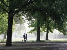 Jeden Morgen ein Brötchen mit Käse