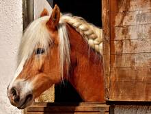 Die Taten der Herkuline - Teil 3