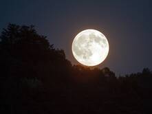 Die Taten der Herkuline - Teil 6