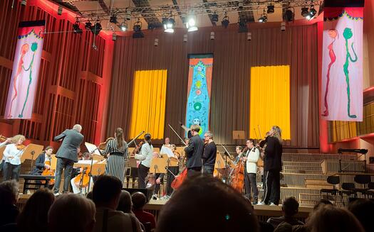 Das Konzert für alle, Musiker auf der Bühne