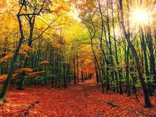 Die Taten der Herkuline - Teil 11