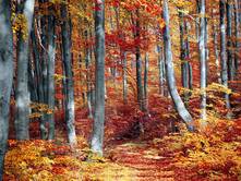 Die Taten der Herkuline - Teil 8