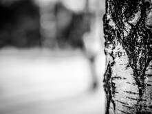 Zwischen Nacht und Morgen