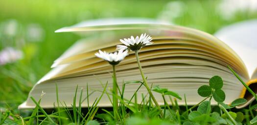 Buch und Gänseblümchen von congerdesign auf Pixabay