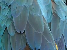 Die Taten der Herkuline - Teil 2