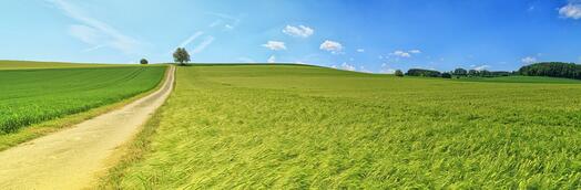 Feld, Bild von jplenio auf Pixabay