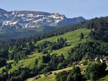 Anna und das Auge des Tigers
