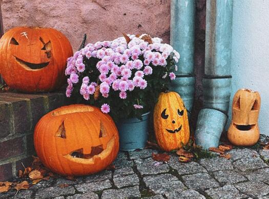 Vier lustige Halloween-Kürbisse um einen Blumentopf herum.