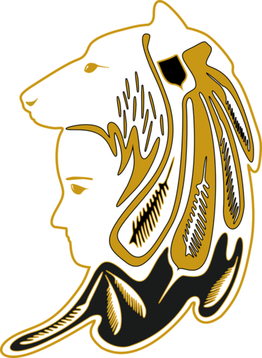Wolfsschamanin, Bild Doreen Sawitua auf Pixabay