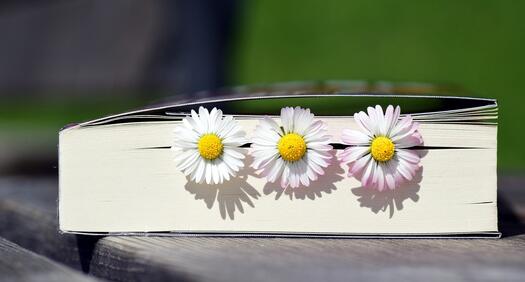 Ein Buch, Bild von Ulleo auf Pixabay