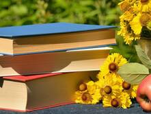 Ein Lese-Fest in einfacher Sprache