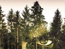 Ich schweige für dich