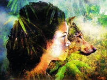 Geschichten aus dem Dschungelbuch