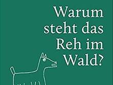 Warum steht das Reh im Wald?