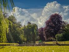 Der Reise-Garten von Anita Liebmann