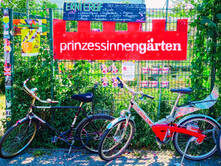 Lesung im Garten mit Andrea Lauer