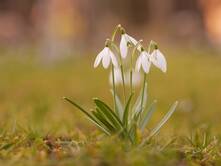 Jede Jahreszeit ist schön