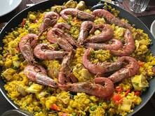 In der Sonne von Mallorca