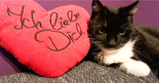 Rosie und Herz Ich liebe dich, Foto: Katzenauge