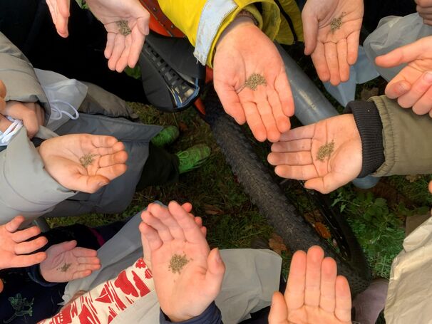 Artensterben und Biodiversität entdecken mit dem Braunbrustigel - Projektwoche am Kollwitzplatz
