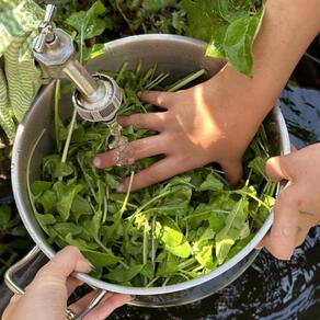 Ausflug zum ElisaBeet