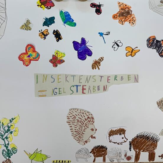 "Insektensterben = Igelsterben"