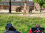 Gruppe 2: Besuch bei den Elefanten im Zoo Gruppe 2: Besuch bei den Elefanten im Zoo