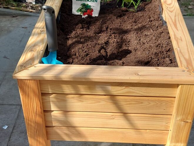 Gruppe 9: Ein Hochbeet wird gebaut und bepflanzt. Gruppe 9: Ein Hochbeet wird gebaut und bepflanzt.