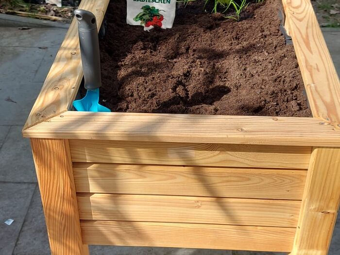 Gruppe 9: Ein Hochbeet wird gebaut und bepflanzt. Gruppe 9: Ein Hochbeet wird gebaut und bepflanzt.
